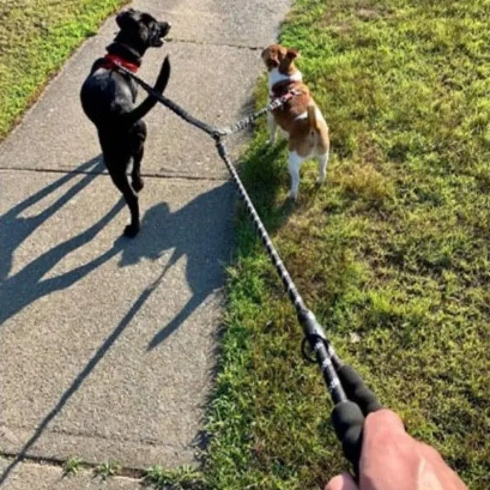FlexiWalk™ Shock-Absorbing Double Dog Leash – Nylon, Stretchable, Anti-Winding for Comfortable Walks